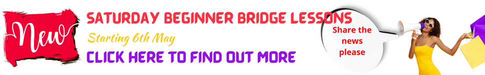 saturday beginner bridge lessons