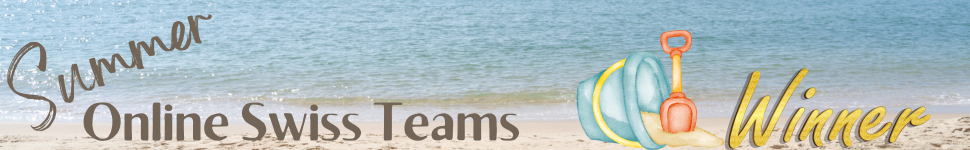 Summer Teams - Winners
