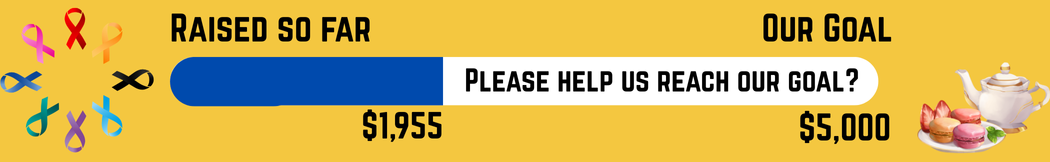 Cancer Council Fund Raiser