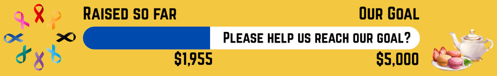 Cancer Council Fund Raiser